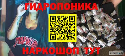 spice Обнинск